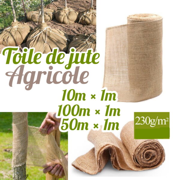 TOILE DE JUT